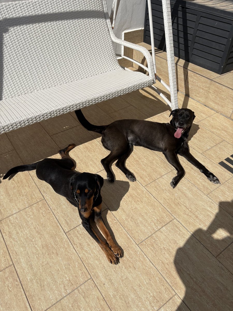 Kapsül 💊 tweet media