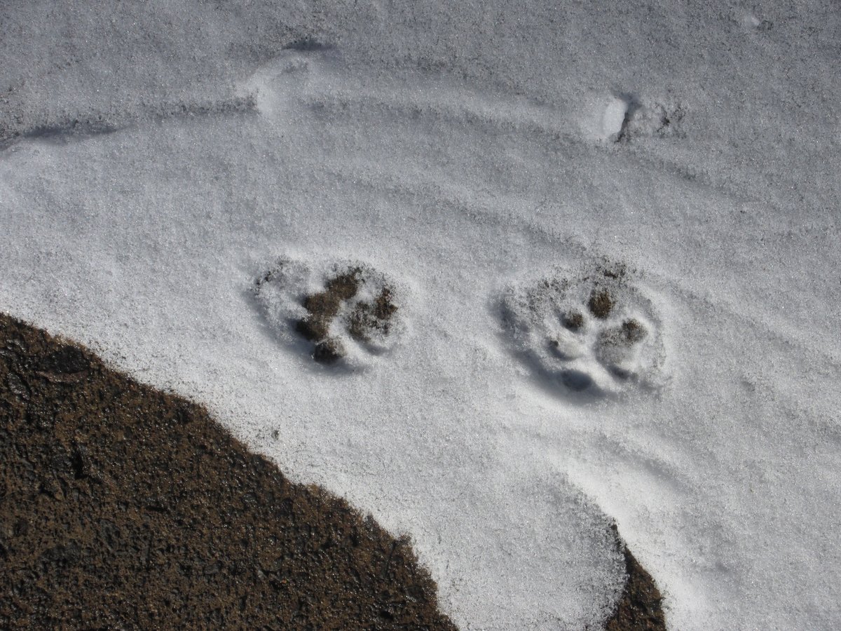 神光寺かをり▲脳梗塞▼多分低浮上▼小説めいた物を書いてます tweet media