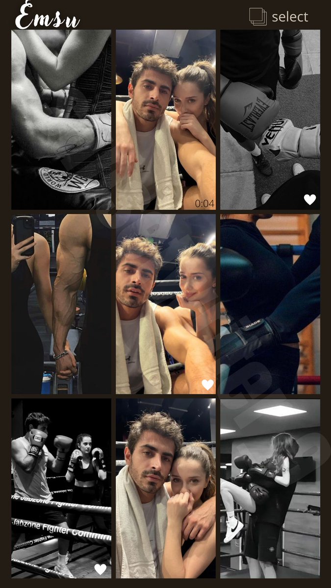 sunsetwriter_9 tweet media