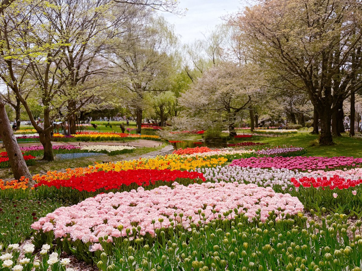 しおり tweet media