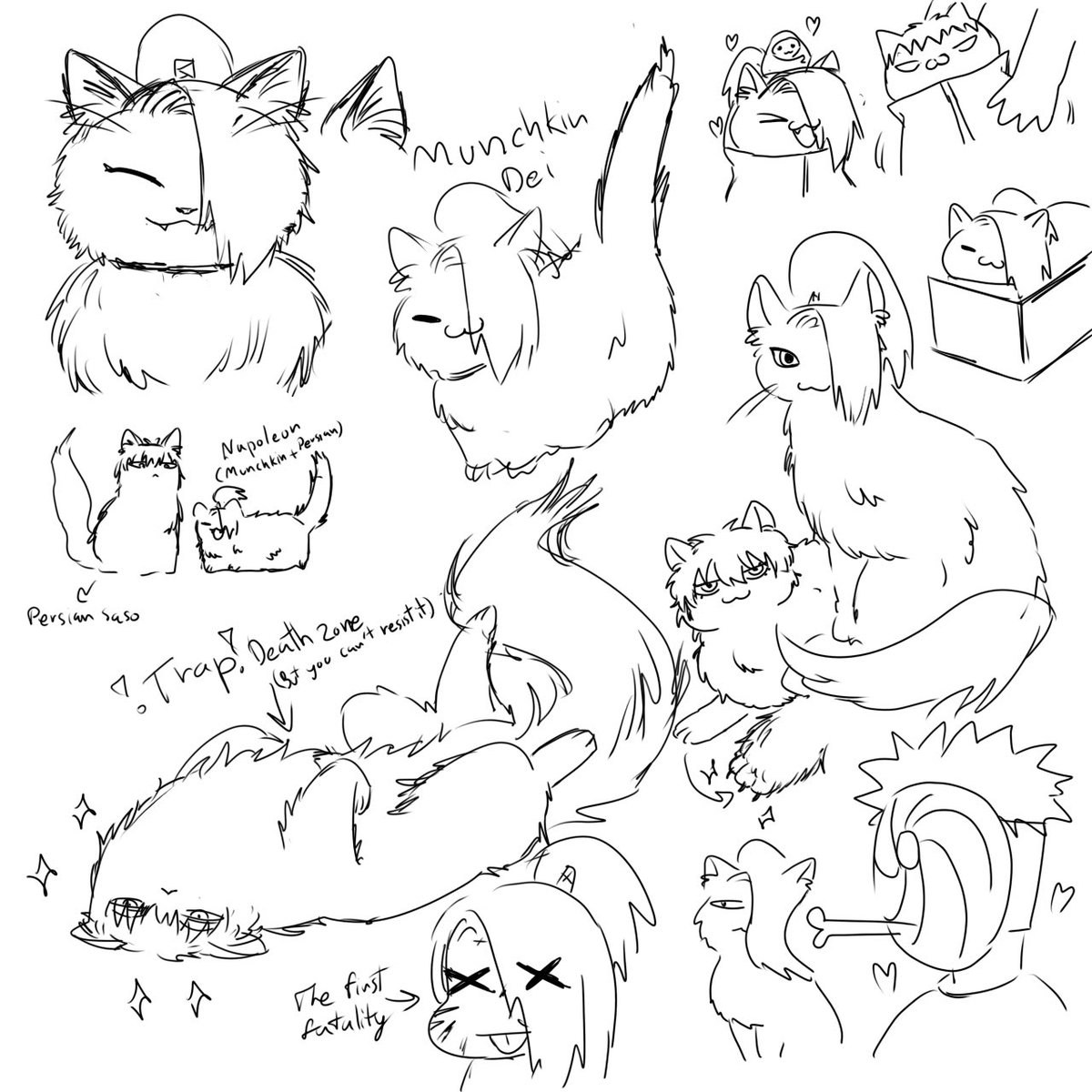 เลามูฟออรเปนวงกลม tweet media