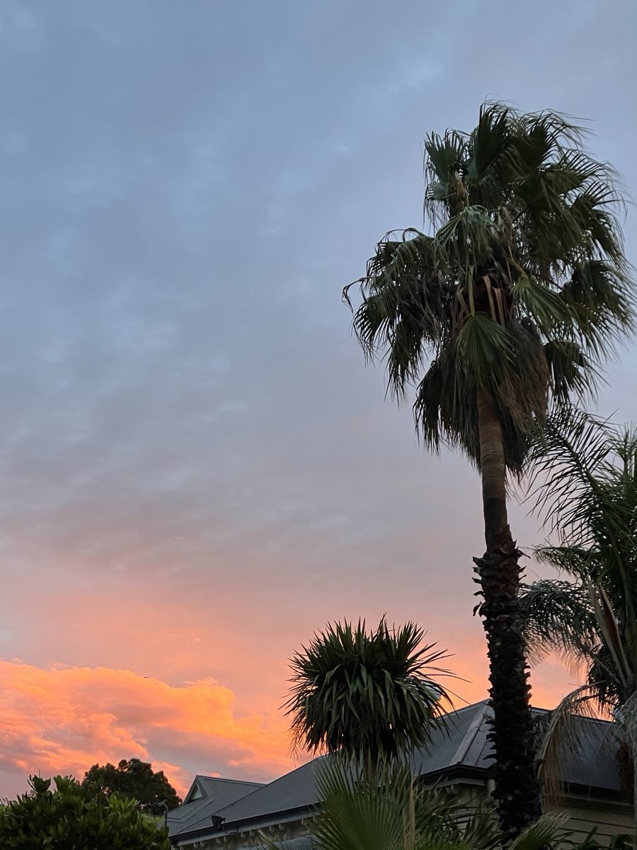 jtbbtt's tweet photo. On my way to see ⁦@bicrunga⁩ Red Sunset tour opener. Perfect evening. https://t.co/AYqvPLAG2O