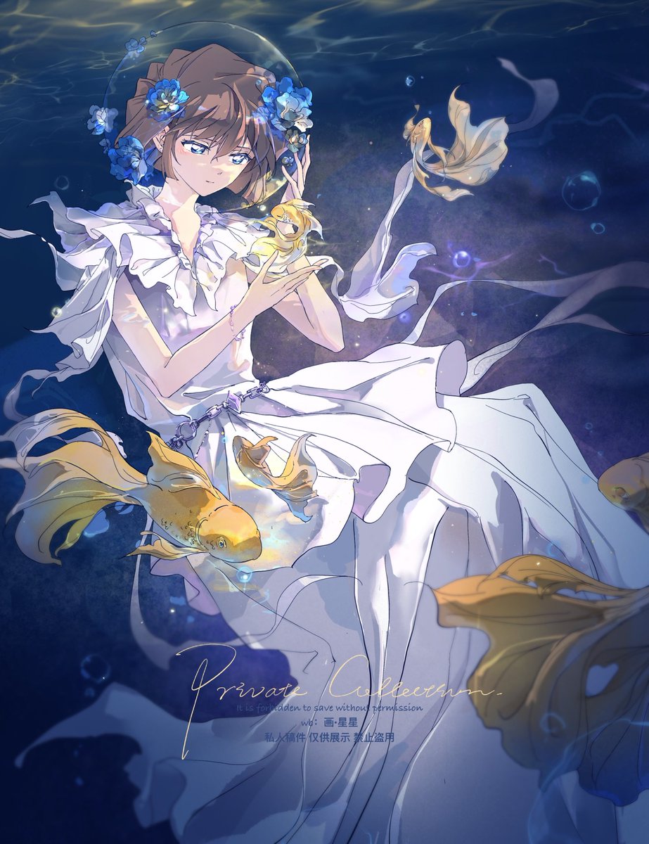 🐠💙💙～哀ちゃん
