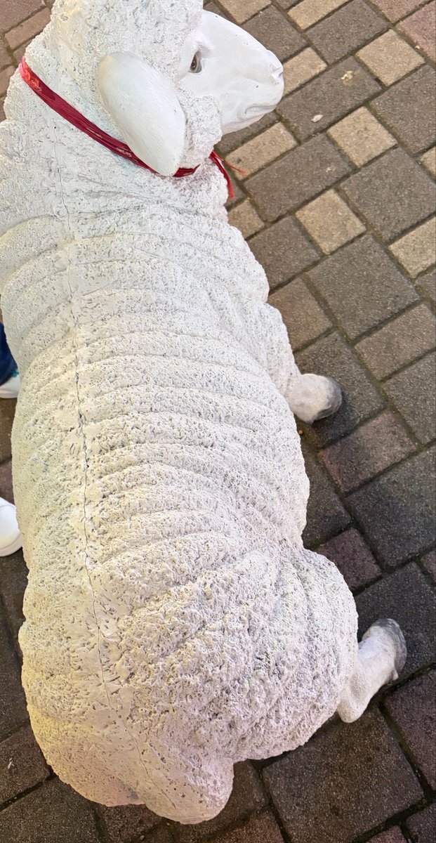 エイト tweet media