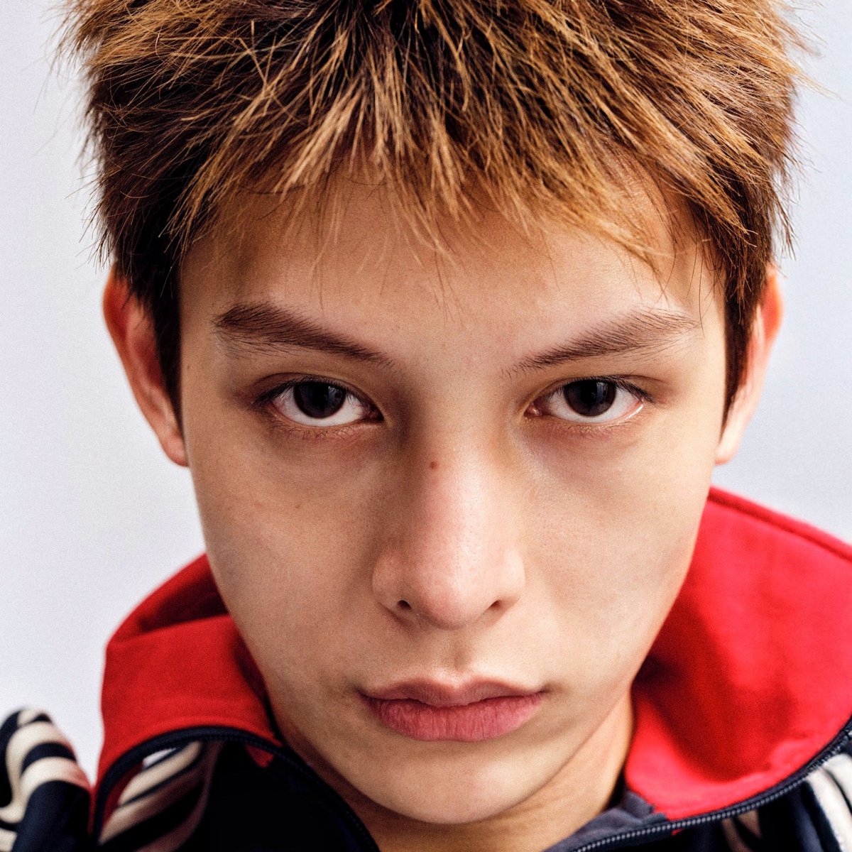 dailyjames tweet media