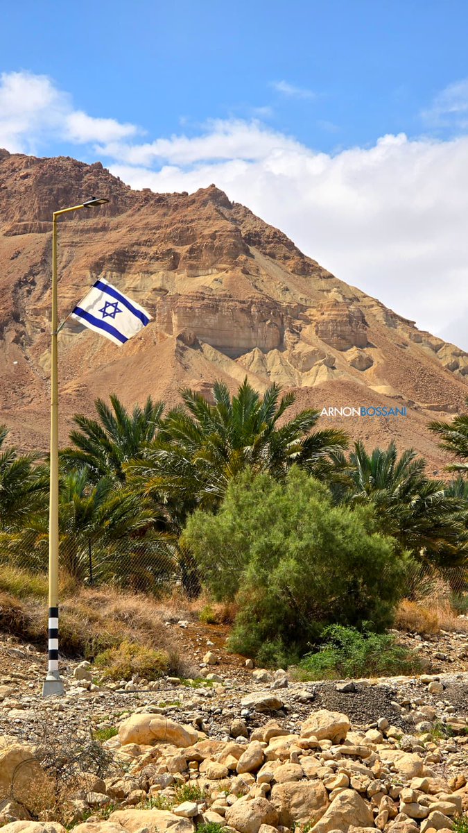 Israel ישראל tweet media