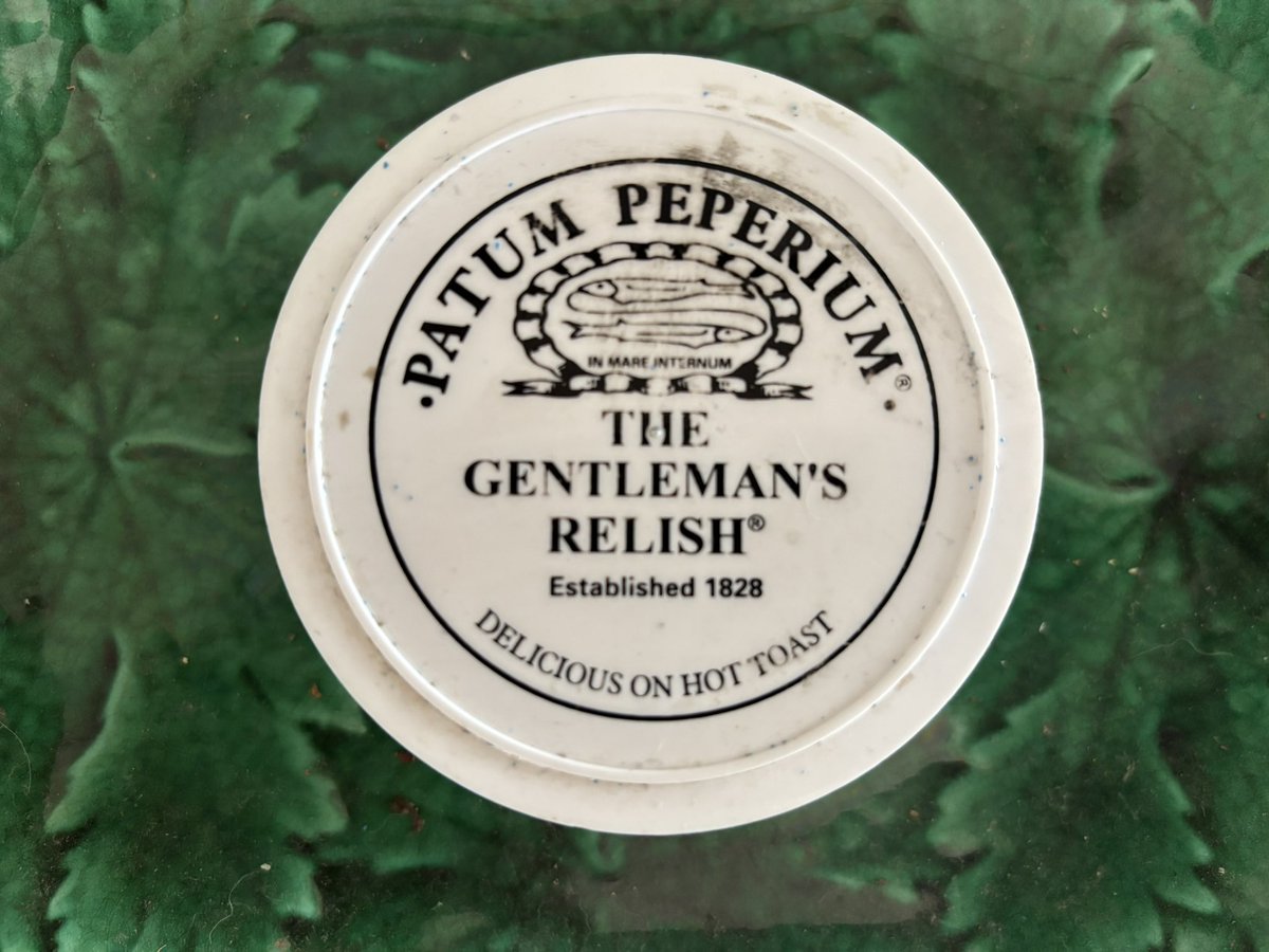 Juliet Stibbe  tweet media