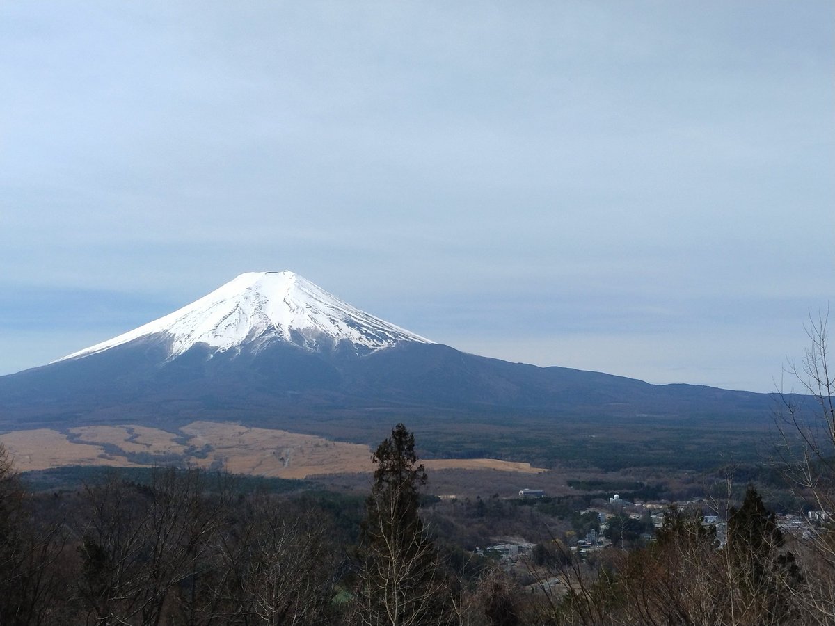 奈良 明日香 tweet media