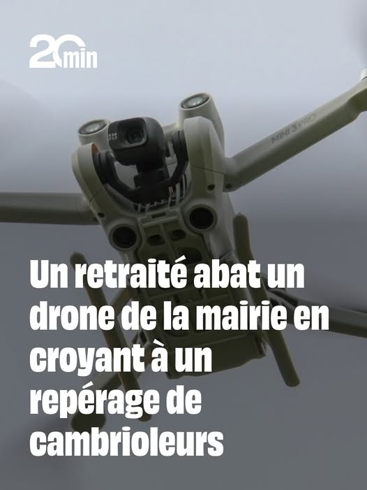 Lili Adresan🌺 tweet media