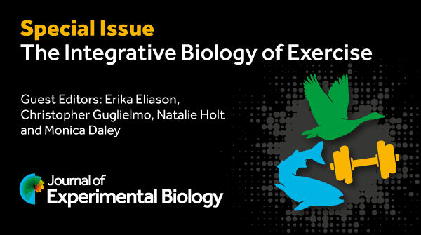 Journal of Experimental Biology tweet media