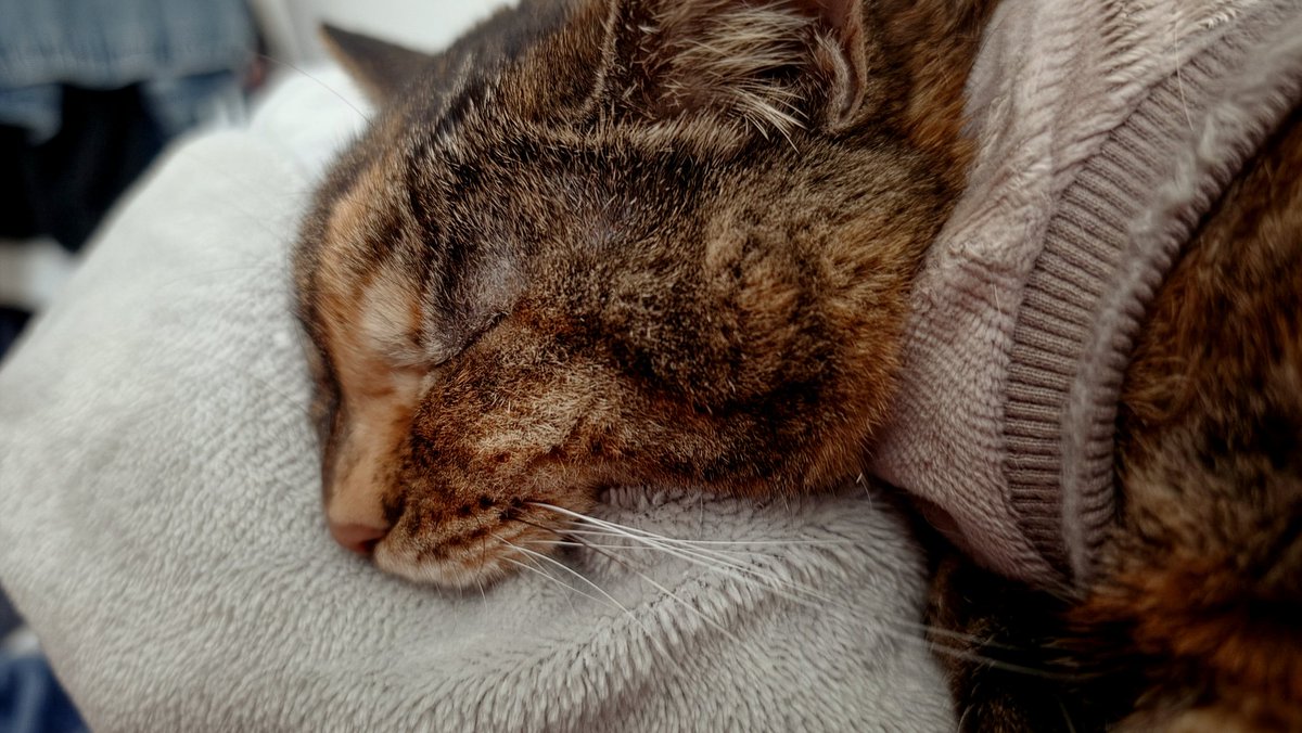 NANA@垢凍●しました tweet media