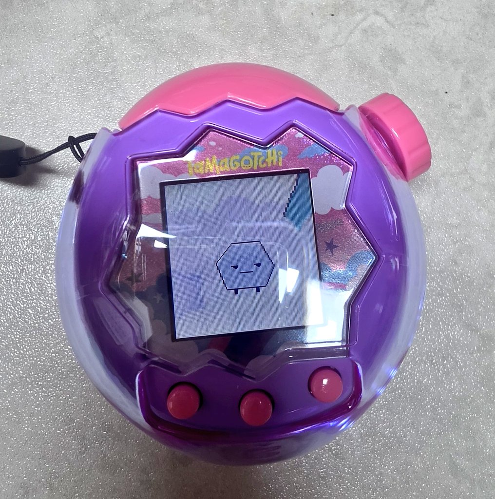 🪻밀크키티🐹🪻 tweet media