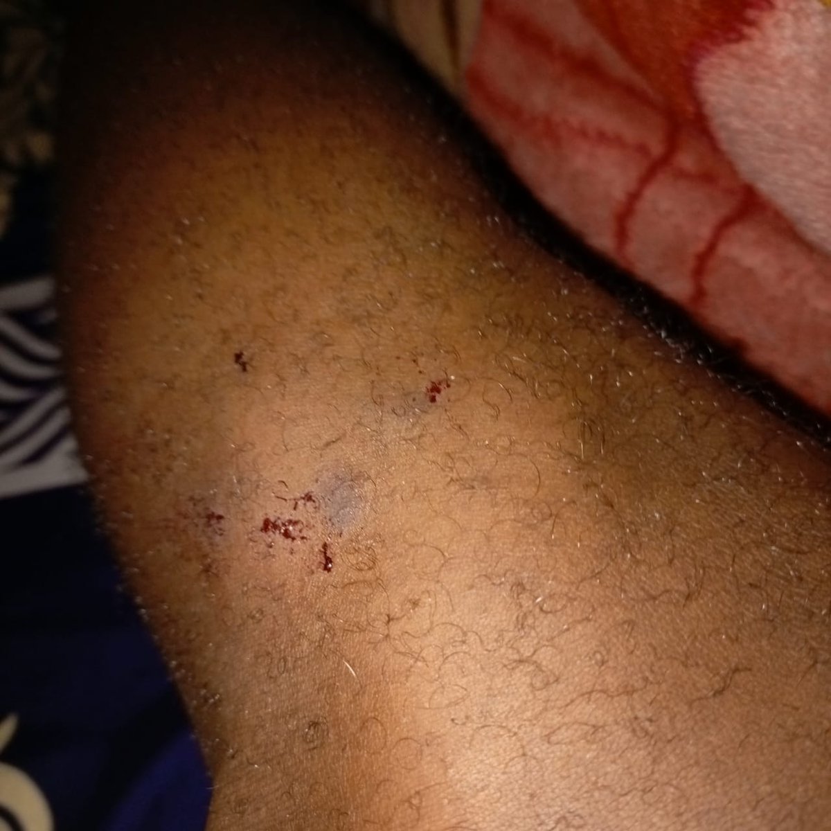 Brother Possible tweet media