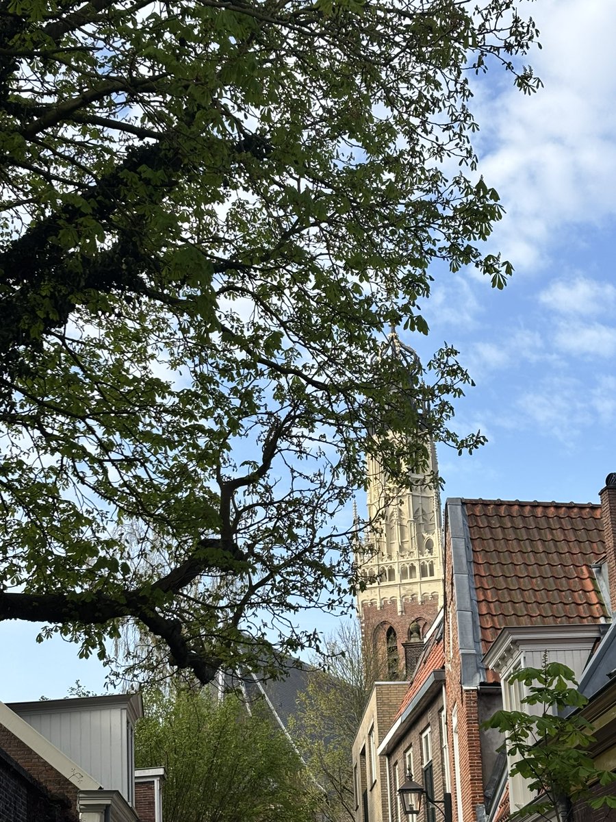 Anja van Zalinge tweet media