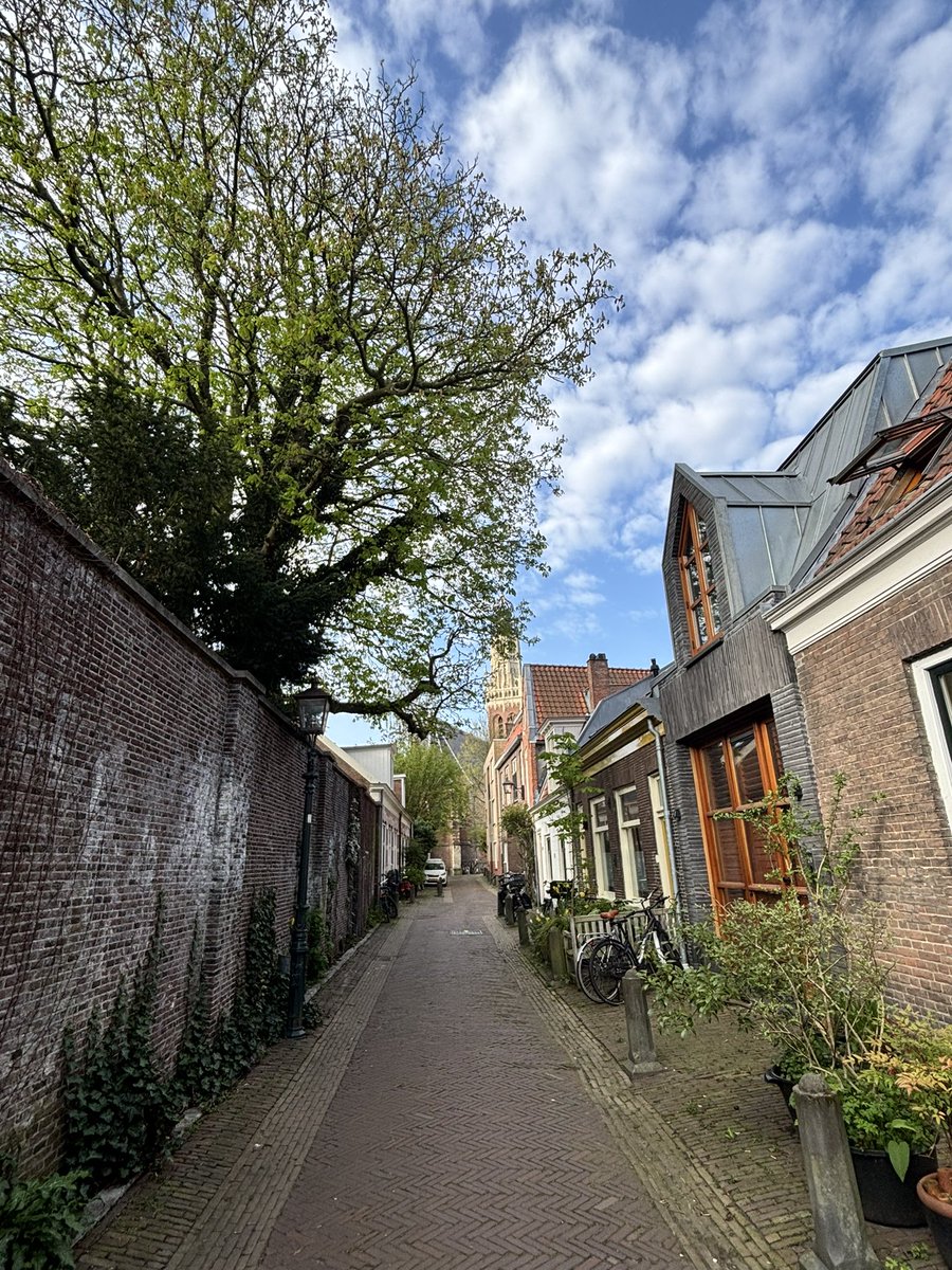 Anja van Zalinge tweet media