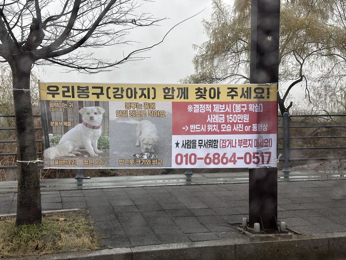 우리 집 왕바위🏡🤎 tweet media