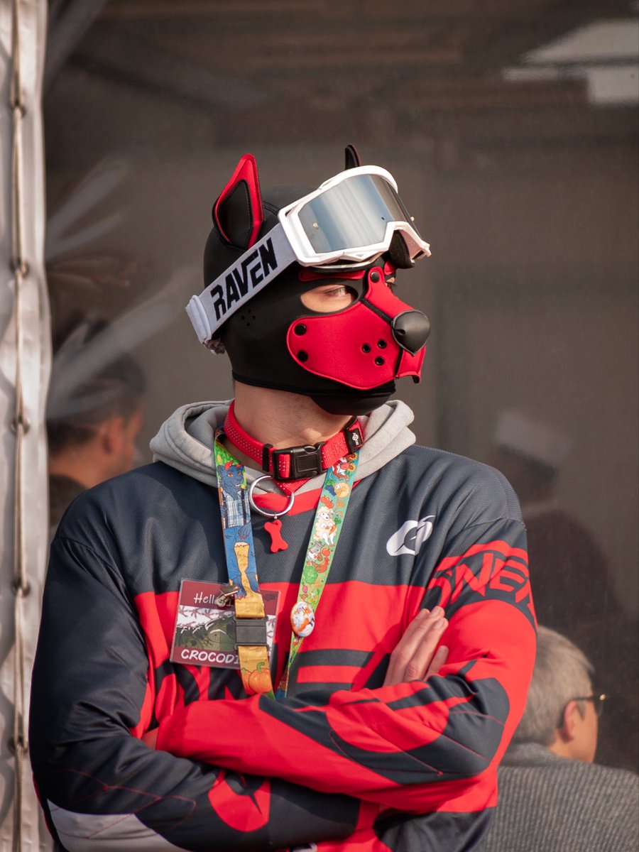 crock_etta's tweet photo. Some pics of me :P

#puppyplay #puppyitalia #mxgear #novegrocomix https://t.co/iRD68kzXw6