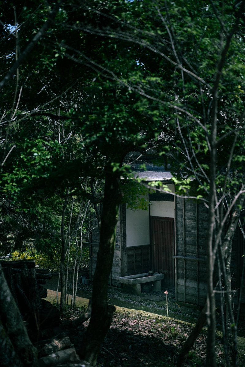 ちゅぼ tweet media