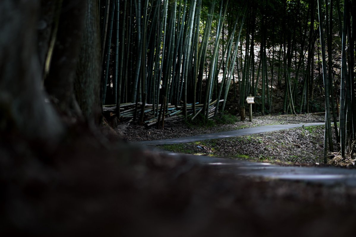 ちゅぼ tweet media