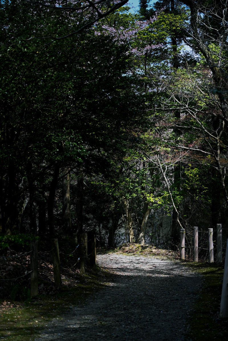 ちゅぼ tweet media