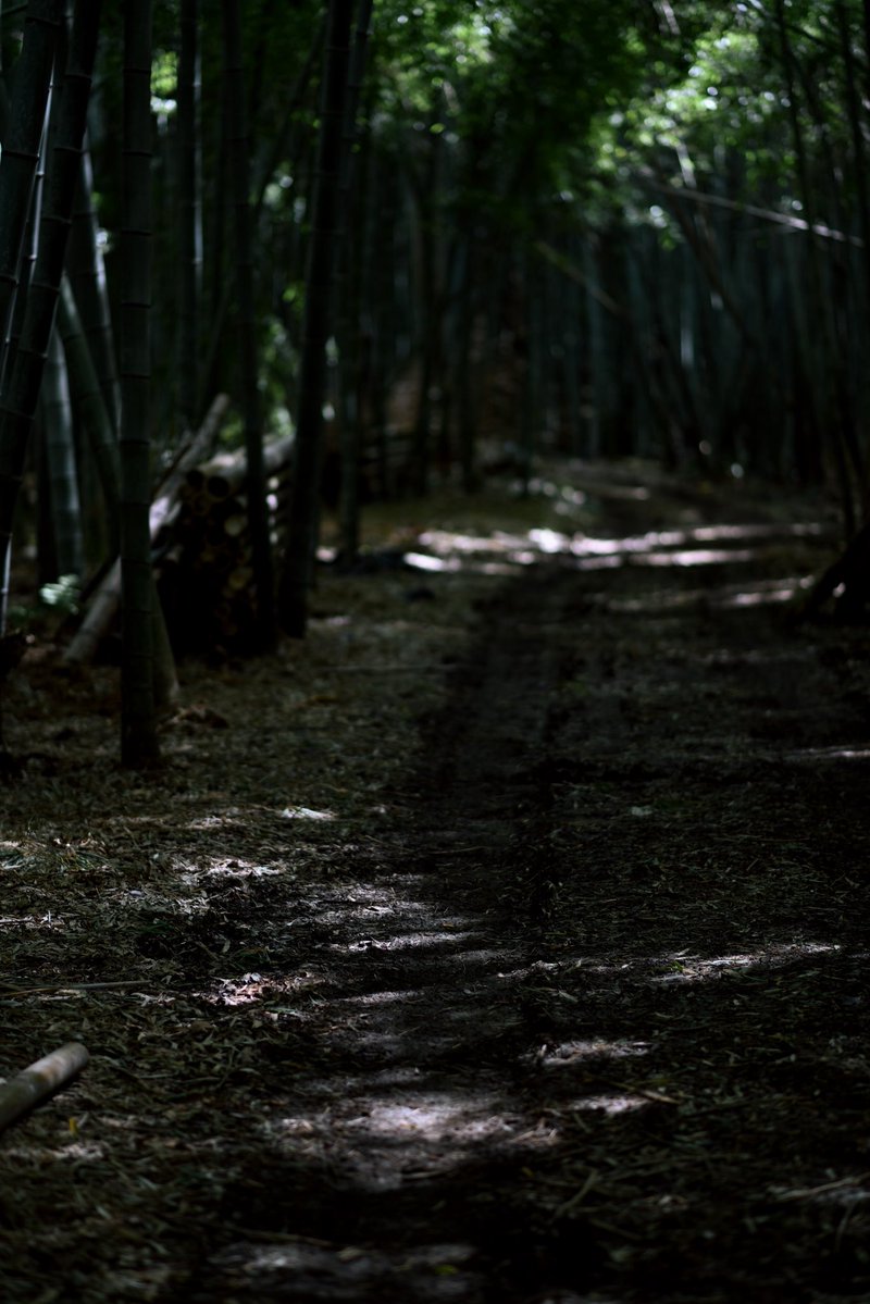 ちゅぼ tweet media