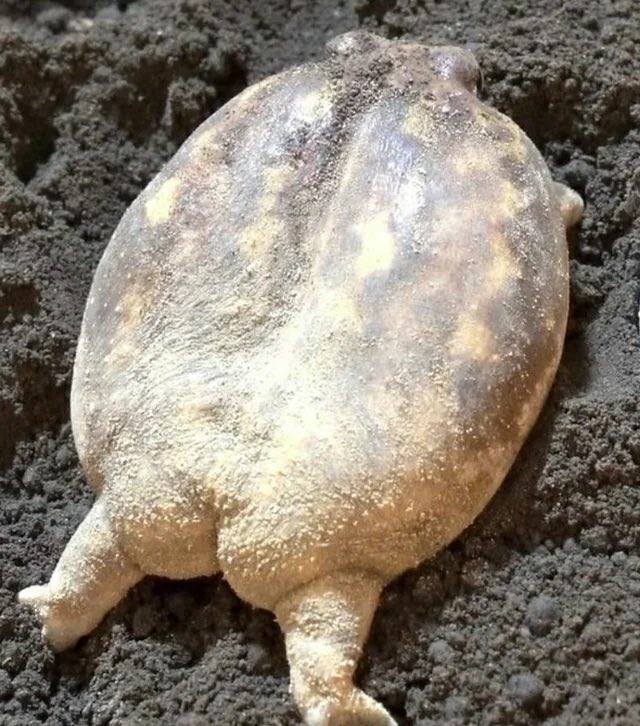 Sylk DeVyne ⋆.ೃ࿔*:･ tweet media