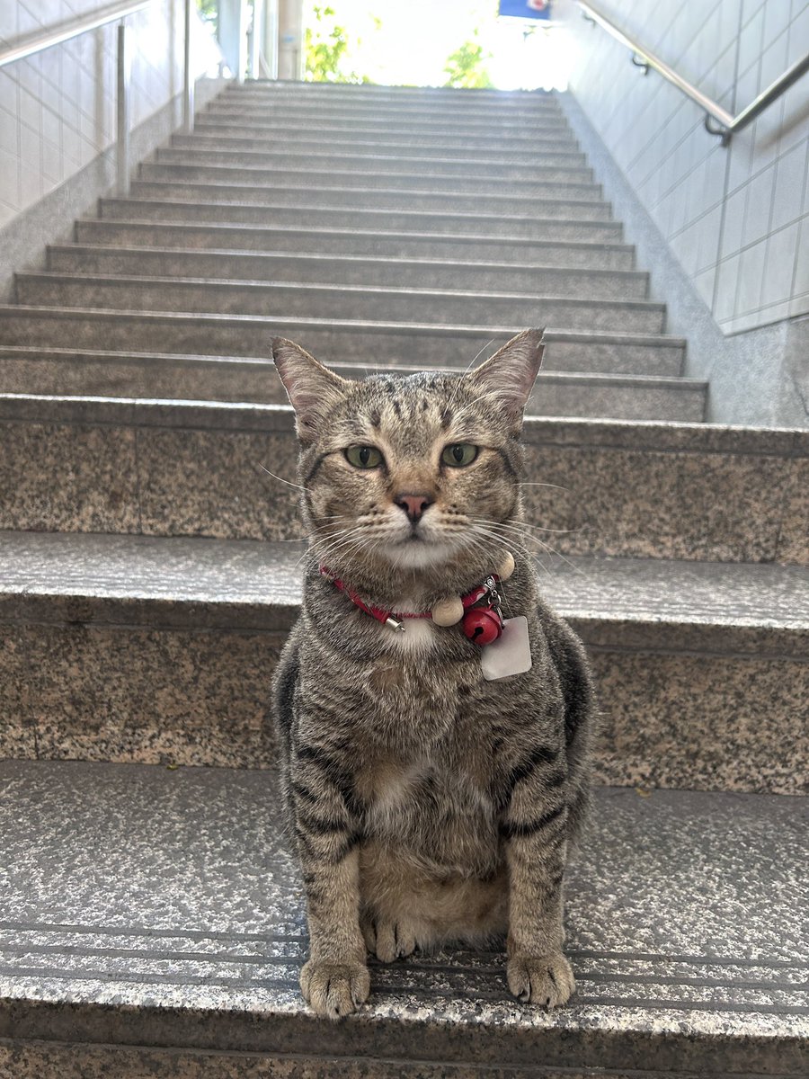 Wake up and smell a coffee tweet media