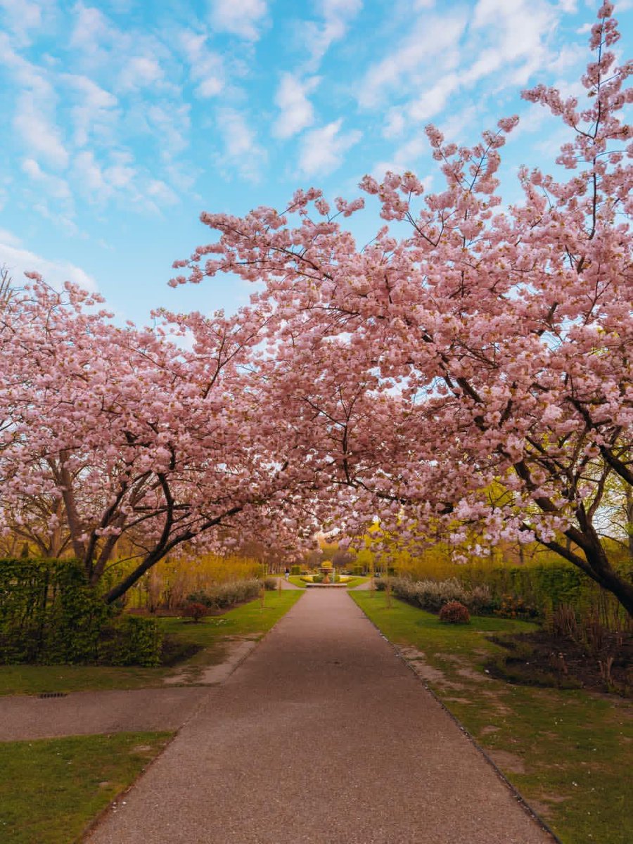 WanderLens tweet media