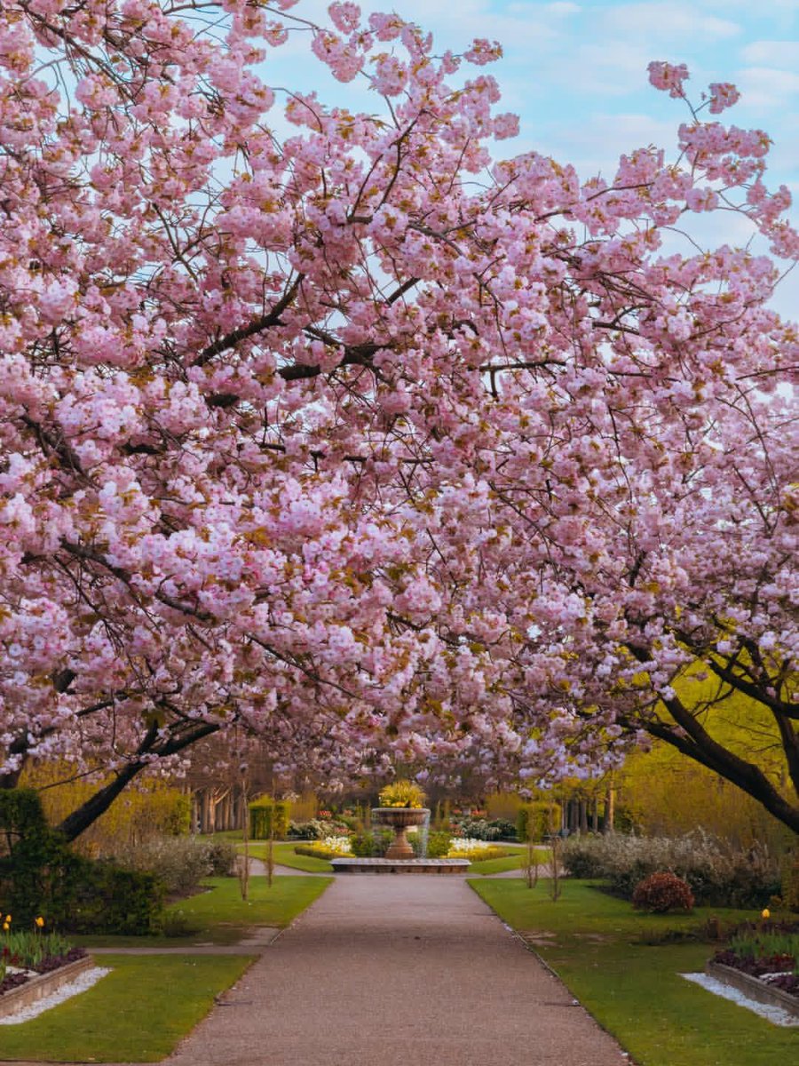 WanderLens tweet media