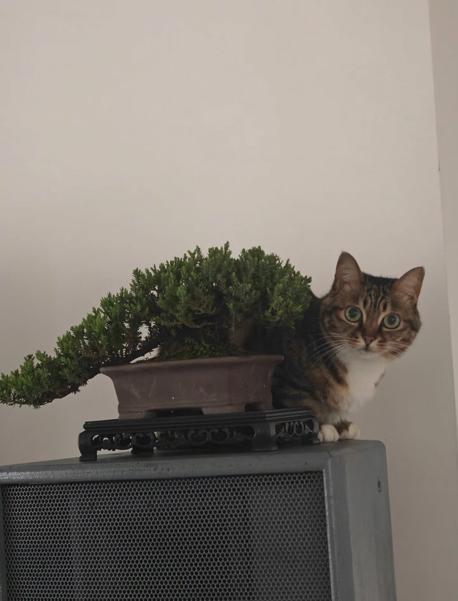 Kathleen tweet media