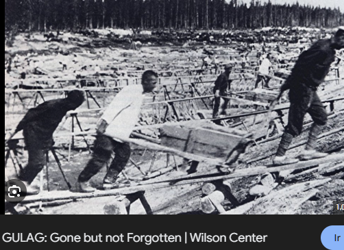 LeanFreeMan tweet media