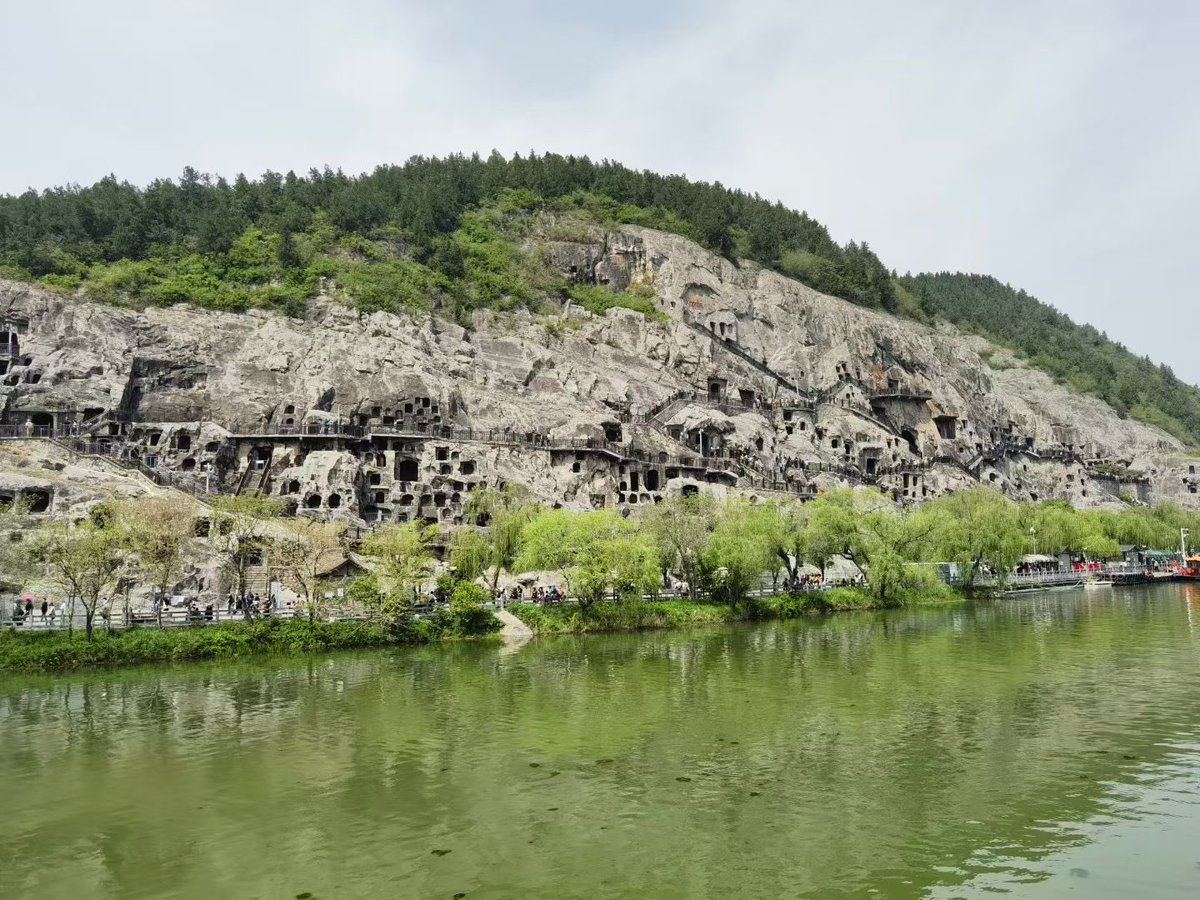 惹尘埃 tweet media