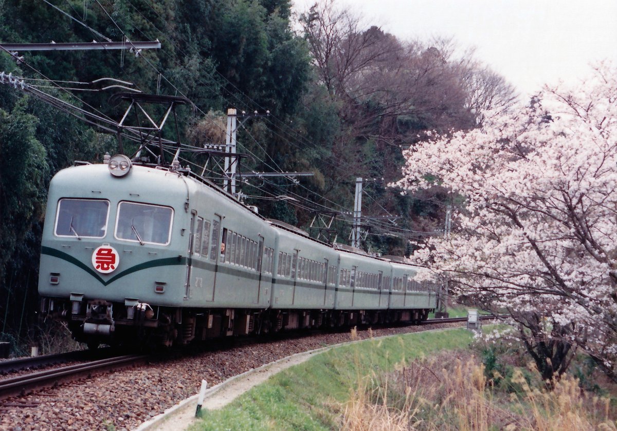 今は立入禁止となってしまった南海高野線学文路-九度山間の桜並木を
