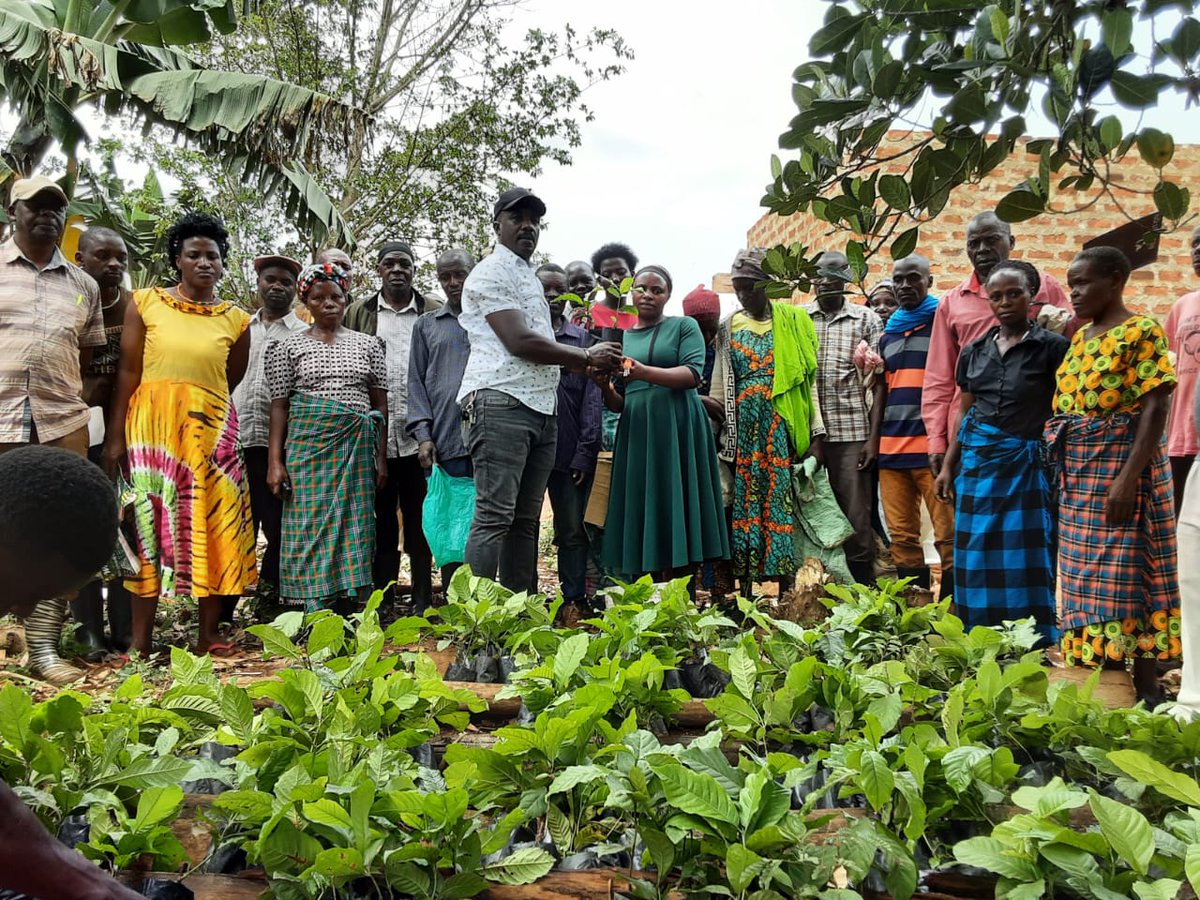 SIMBULA VENTURES tweet media