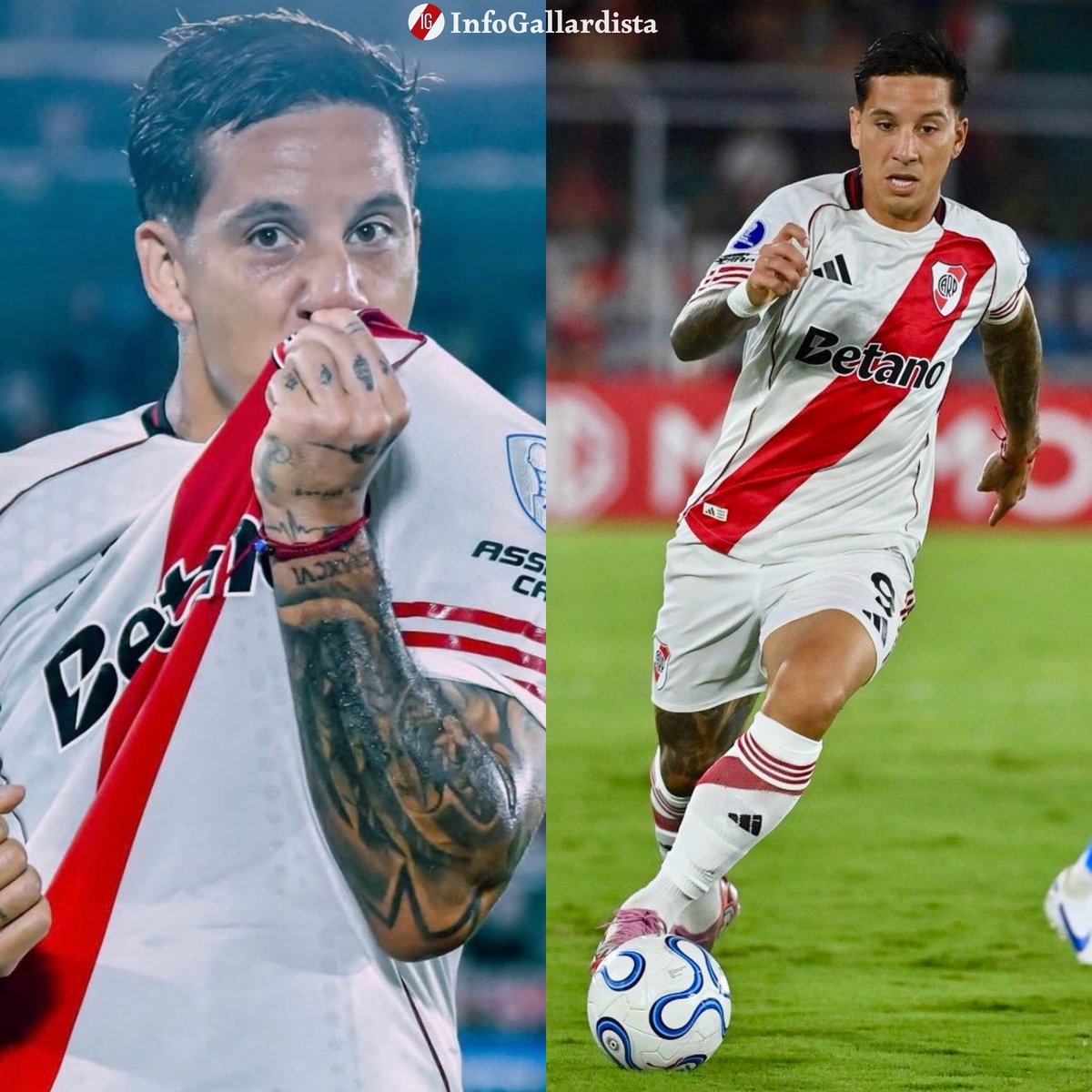 Info Gallardista tweet media