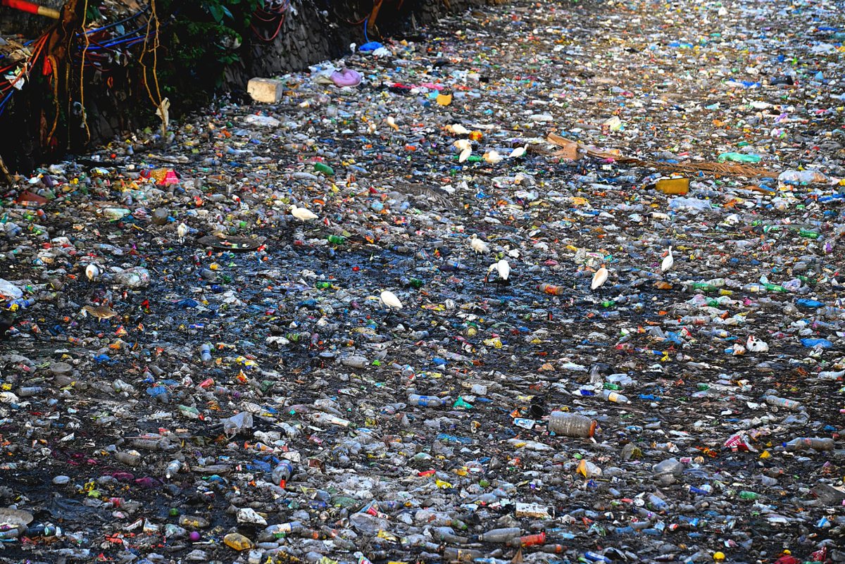 The Times Of India tweet media