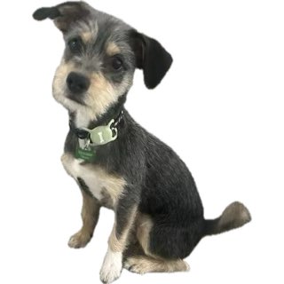 Daddy Tom tweet media