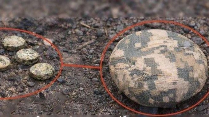 Гюндуз Мамедов/Gyunduz Mamedov tweet media