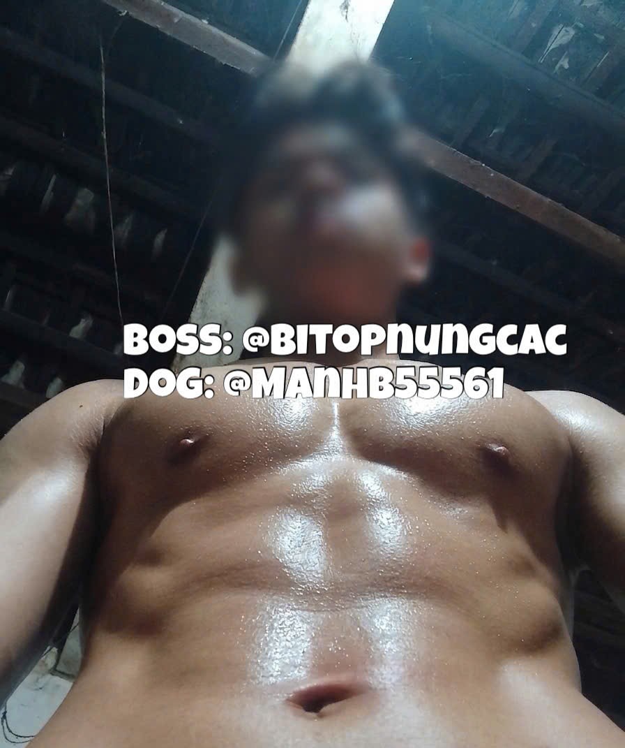 ManhB55561's tweet photo. Body ướt nhẹp mồ hôi thế này, ai muốn bú cu con chó slave của boss @bitopnungcac không? thằng nào muốn quỳ xuống liếm sạch mồ hôi từ ngực xuống bụng rồi ngậm cu, để con chó đực này nó giao phối vào mồm nhé, " giống tốt ai muốn lấy giống chó này ko" https://t.co/ivl0n3REAY