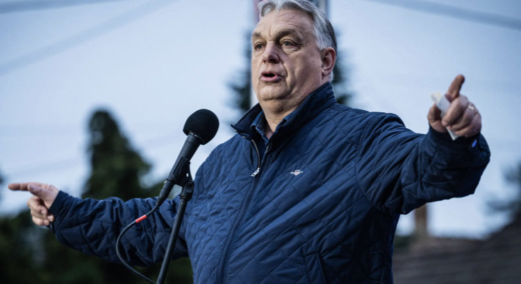 Joni Askola tweet media