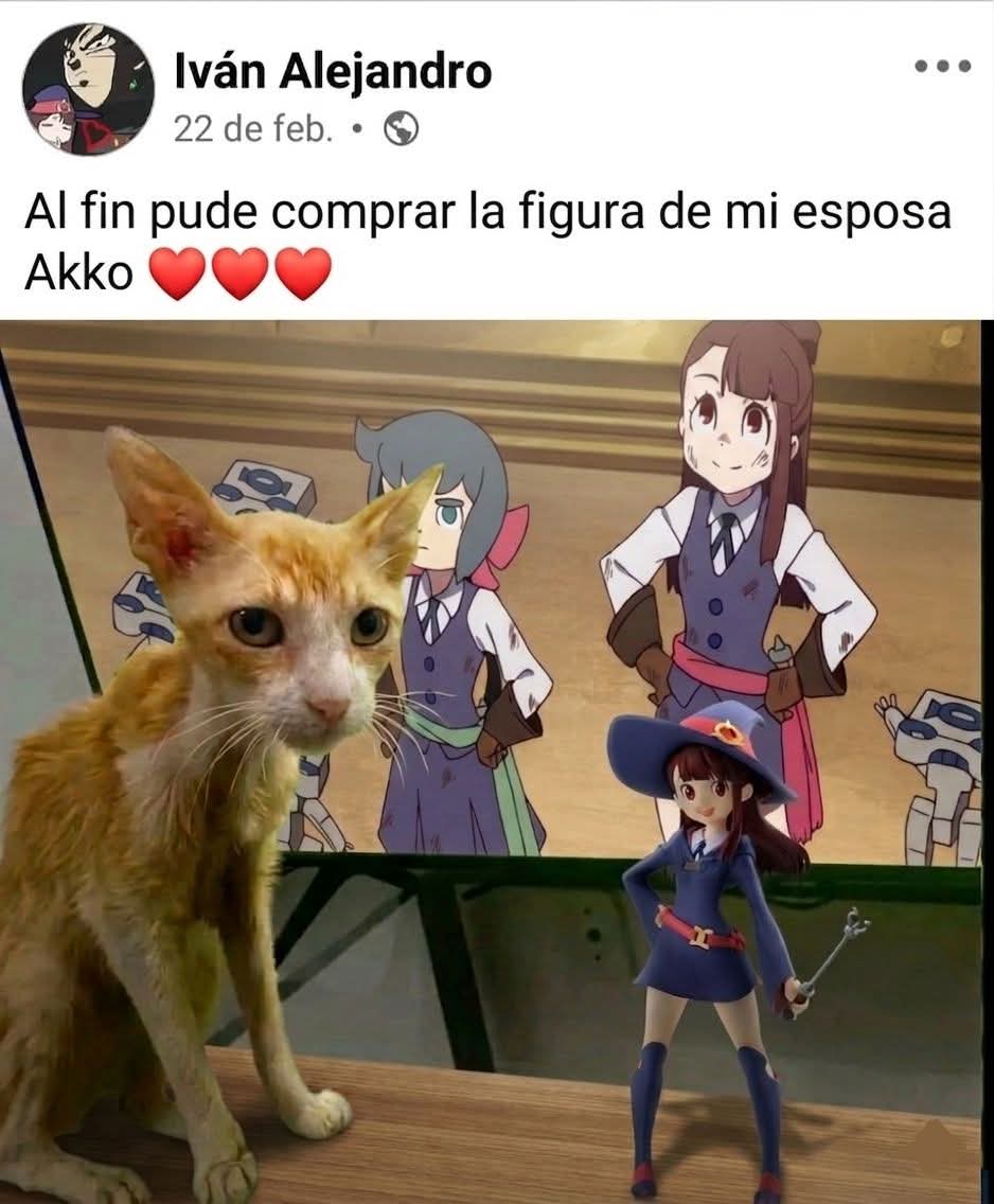 Otakus Del Dia a Dia tweet media