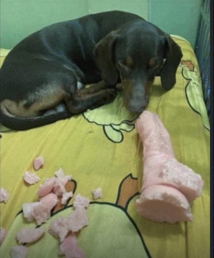 love santana🇧🇦 tweet media