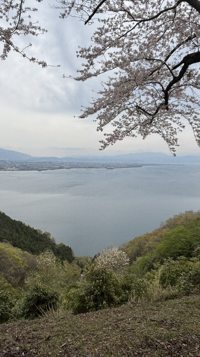 workout68kg→62kg tweet media