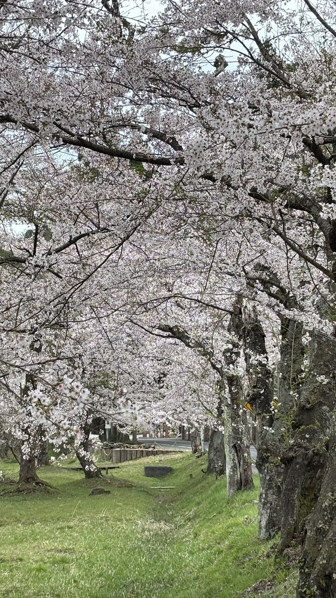 workout68kg→62kg tweet media