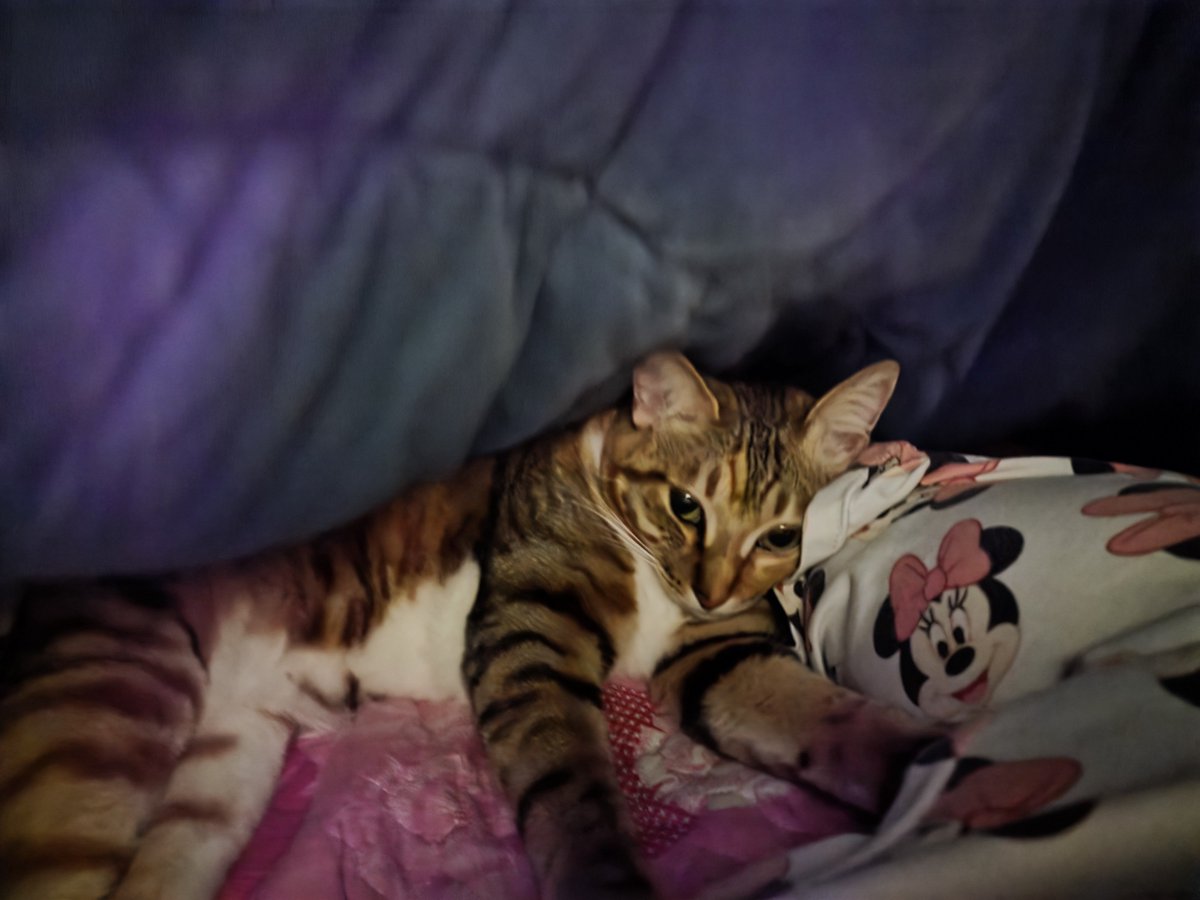 이불속에서 엄마 다리에 기대기