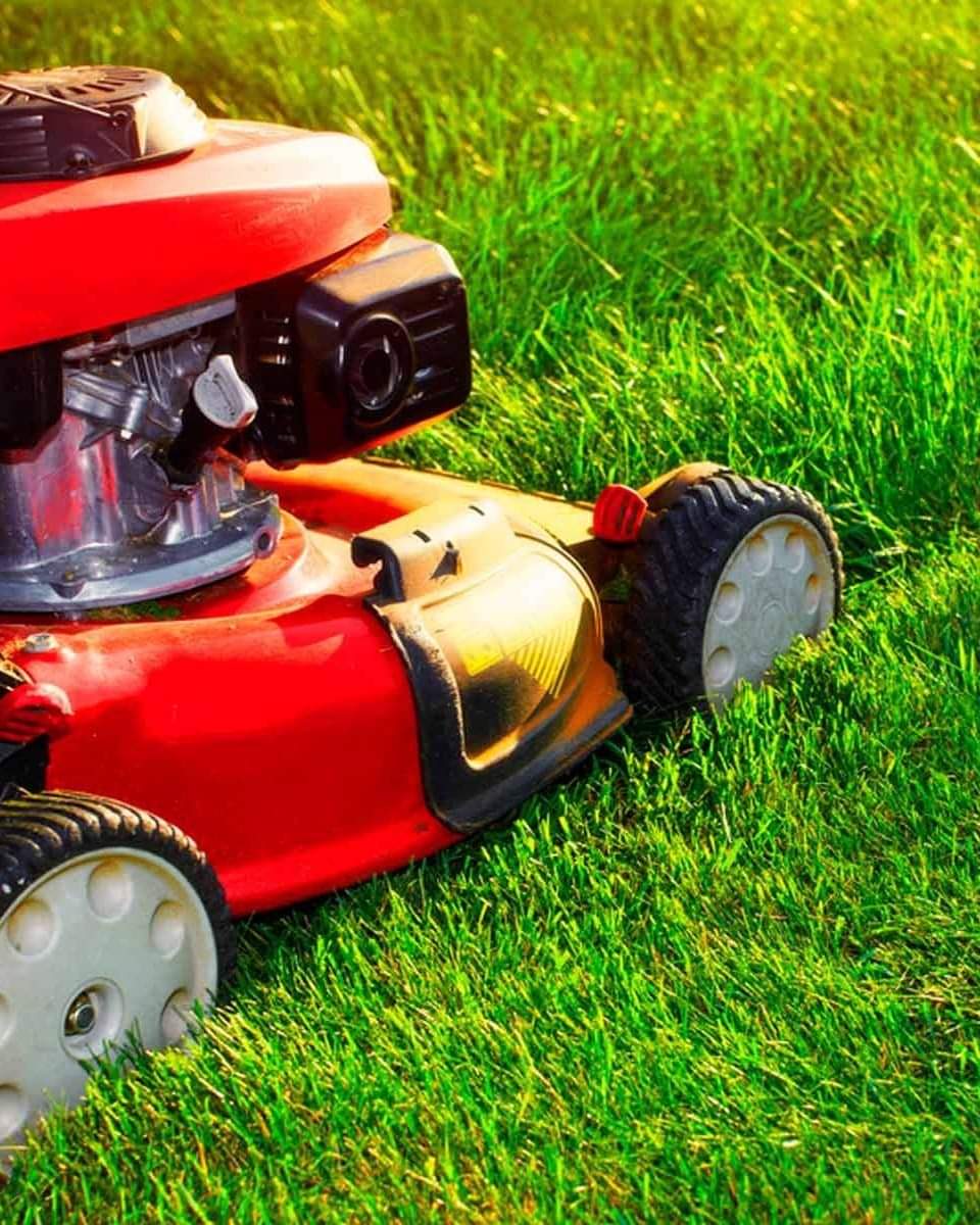 Johnny Cadillac tweet media