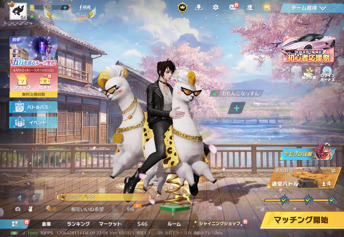 しゃち🖤👑🤍 tweet media