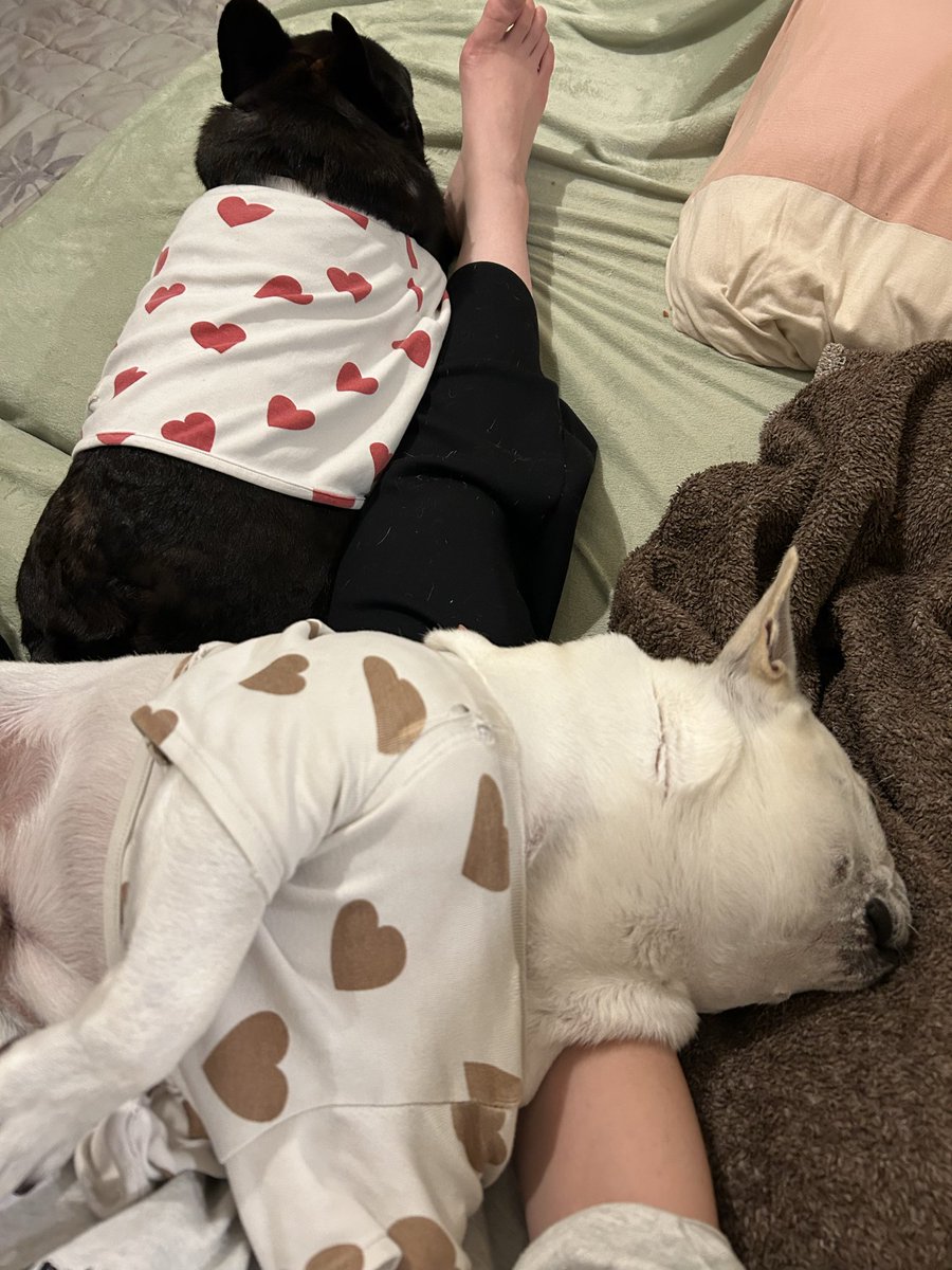 室長と助手 tweet media