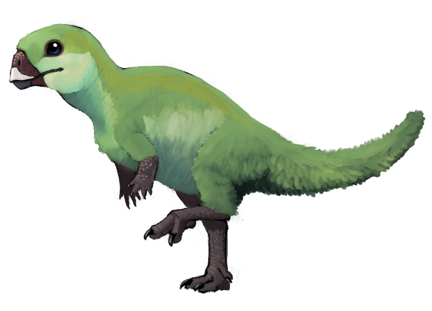 인간 오창식(KOR) tweet media