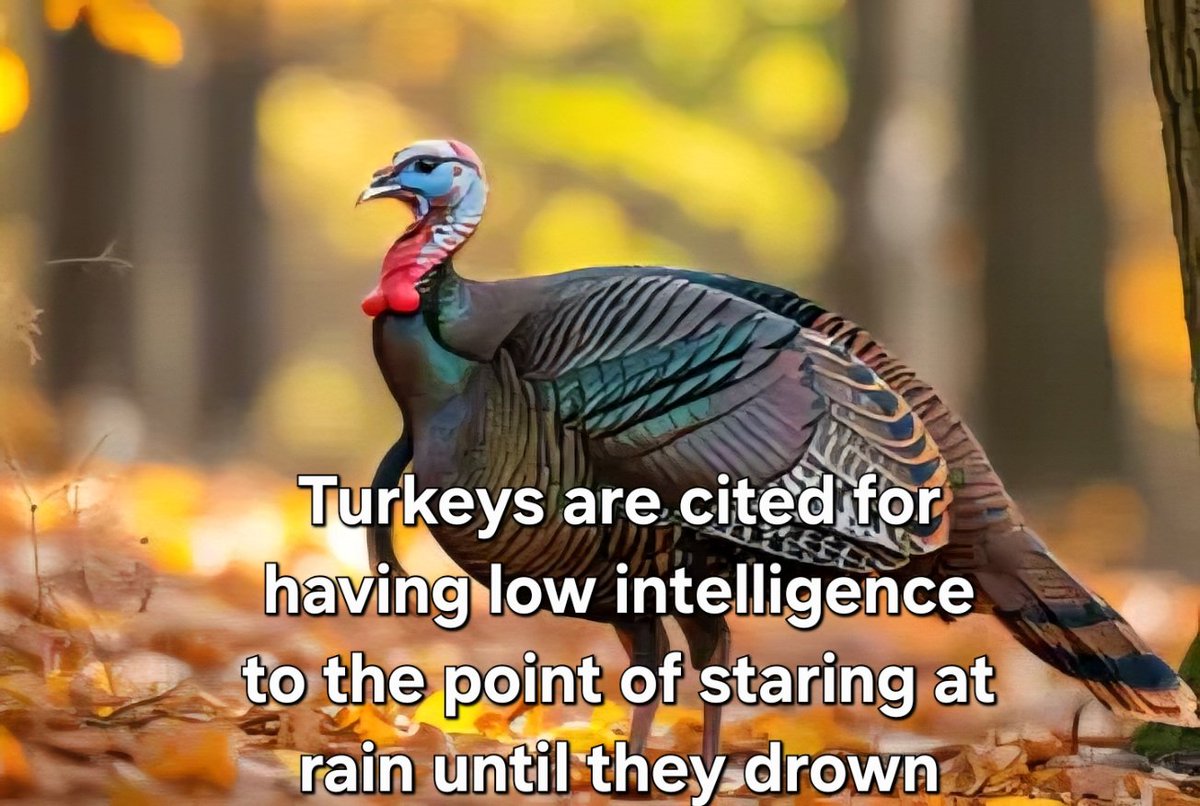 Lamont 🇺🇦🌻 tweet media